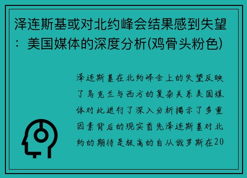 泽连斯基或对北约峰会结果感到失望：美国媒体的深度分析(鸡骨头粉色)